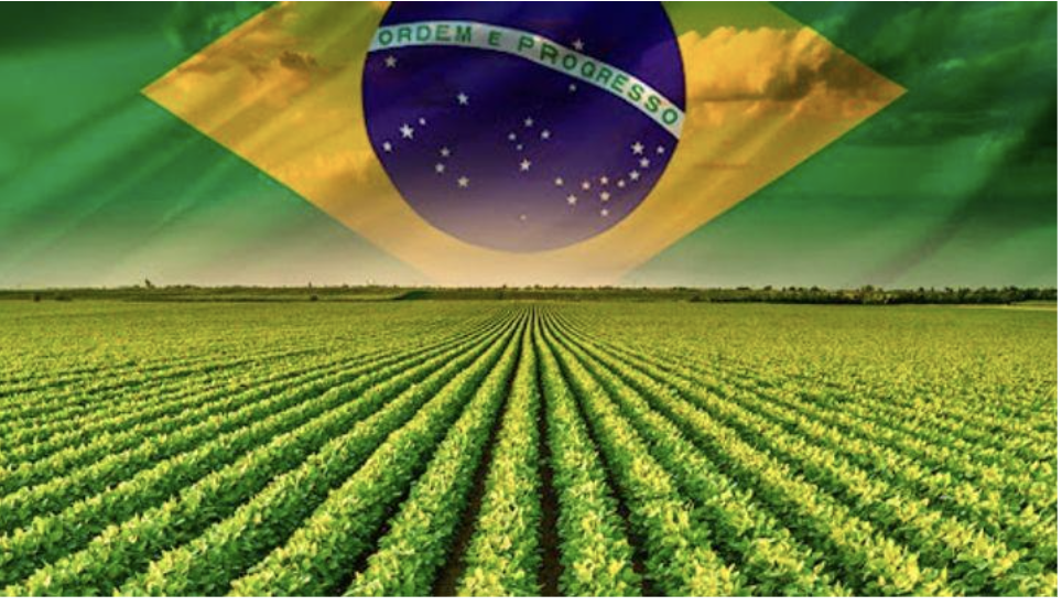 Brazil Flag hovering over a large farm crop.