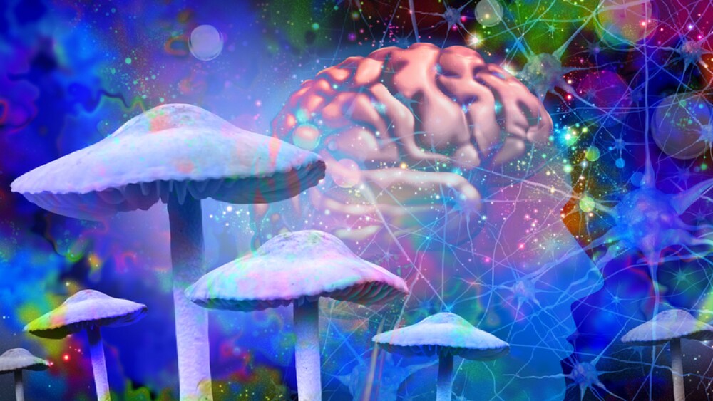 Mushrooms and the Brain